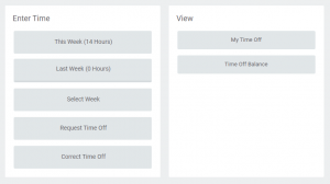 Screenshot of the time entry UI in Workday.