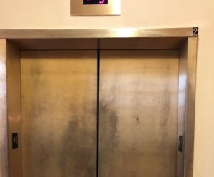 University Hall Elevators Dull finish