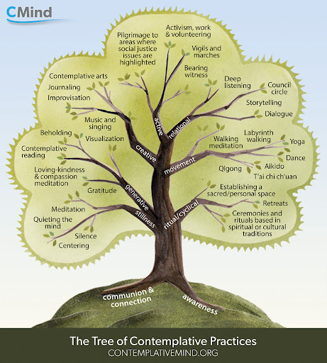 Tree of Contemplative Practices