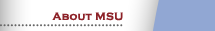 About MSU
