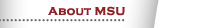 About MSU