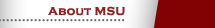 About MSU