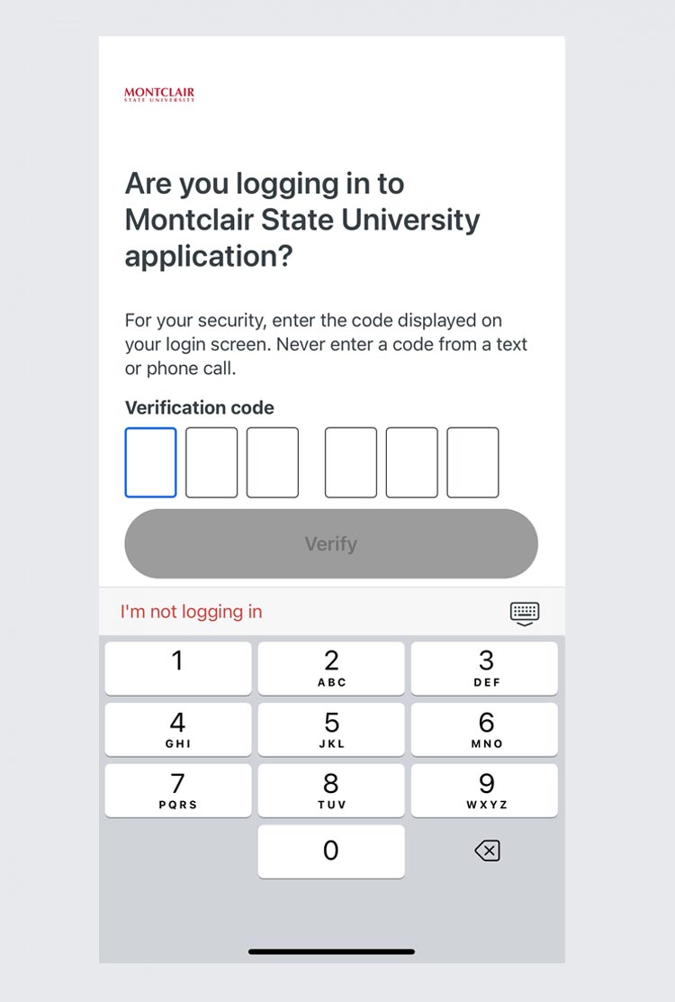 duo universal prompt with 6 digits to fill in