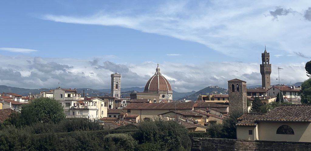 Florence view