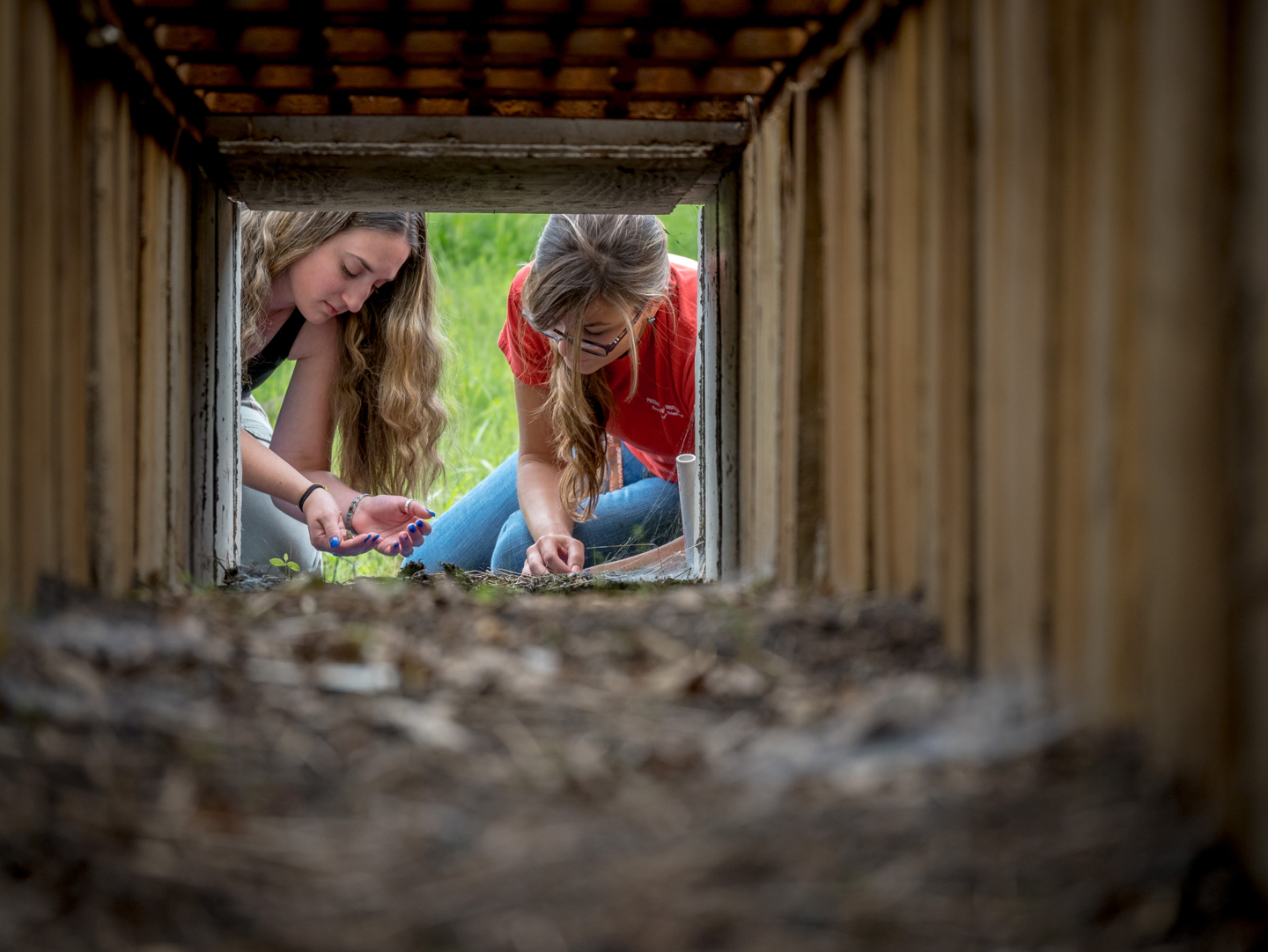Nicole Bergen and Natalie Sherwood check the tunnels’ pitfall traps.