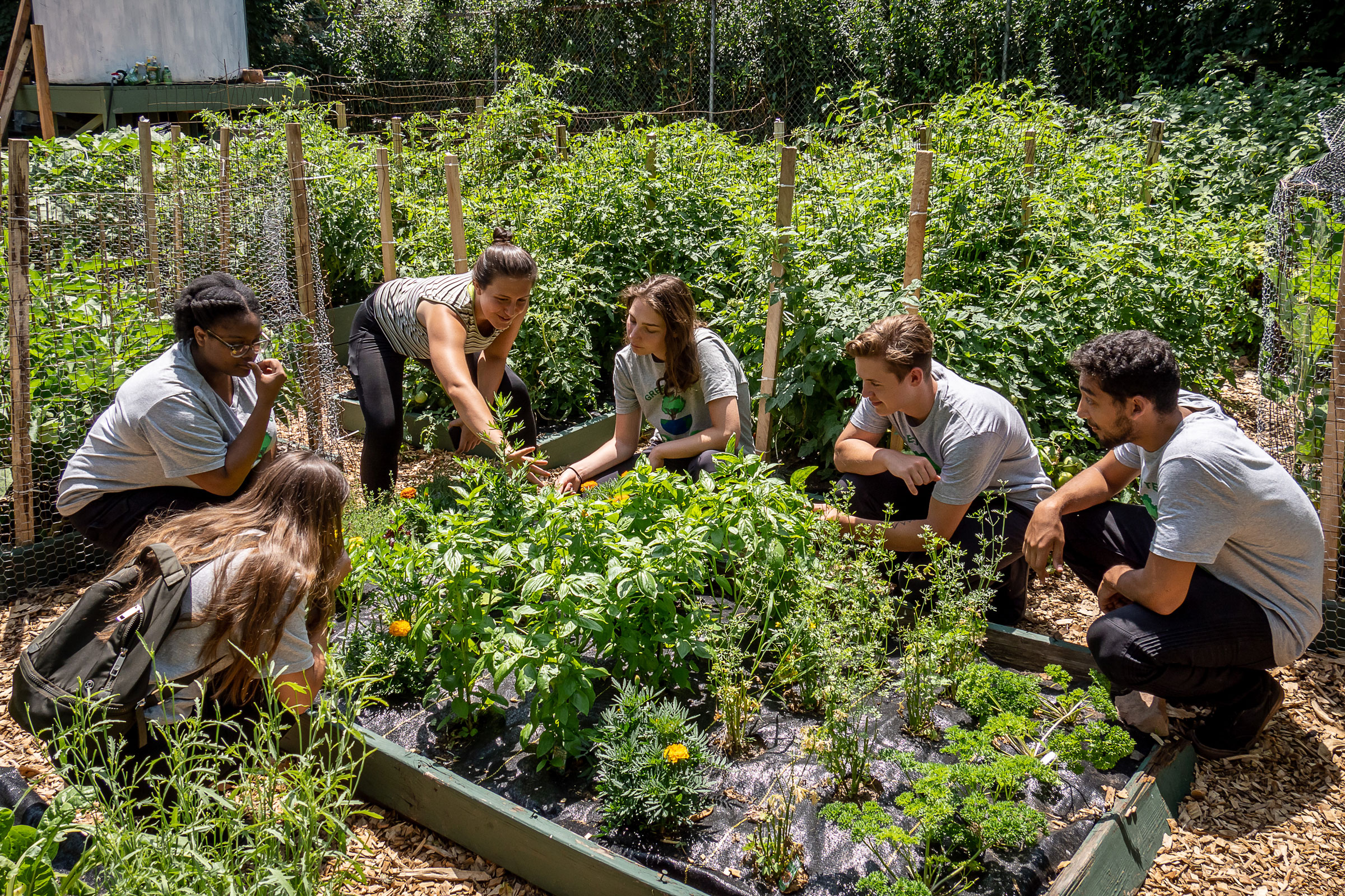 students in Community Garden