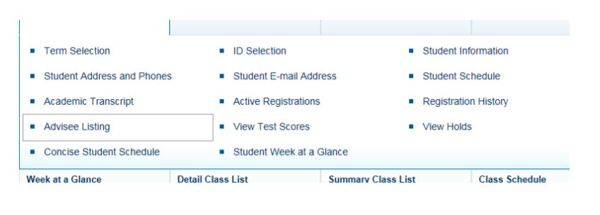 Screenshot of the Student Information menu in SSB.