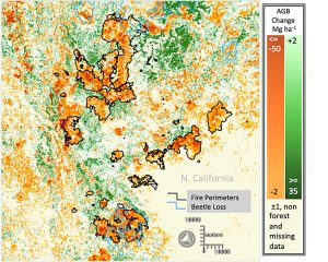 Terra satellite imagery