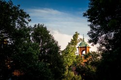 Photo of College Hall belltower framed by trees.