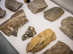 Photo of assorted rock samples