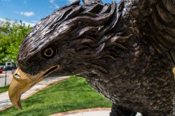 Close-up photo of Montclair State Red Hawk statue