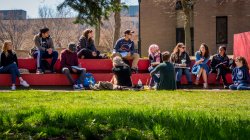 Photo of students in discussion in a class meeting outdoors.