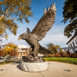 The Red Hawk statue welcomes students and visitors to campus.