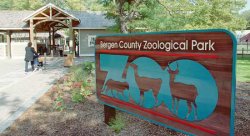 Feature image for Bergen County Zoo - Education Intern