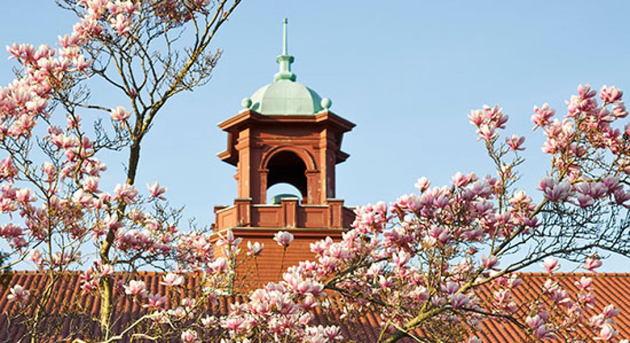 Withdrawal deadline 50% refund/adjustment University Calendar