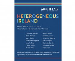 Flyer for Heterogeneous Ireland