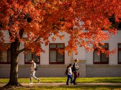 students walking on a fall day