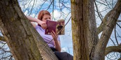 Photo of student reading a book in a tree