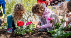 Photo of kindergarten and second-grade students from Bradford Elementary School planting flowers on campus for Earth Day 2015.