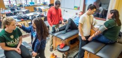 Athletic Training (MS) at Montclair State University
