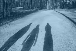 Three shadows