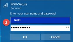 MSU secure connect screenshoot 2
