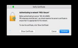 Screenshoot of cert verification while login to msu-secure