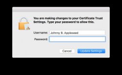 Screenshoot of cert verification while login to msu-secure