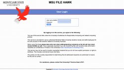 MSU FileHawk login page