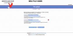 MSU FileHawk multifile upload