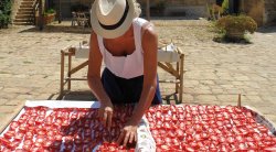 Woman in Sicily spreading the tomato pulp onto boards to begin drying in the sun.