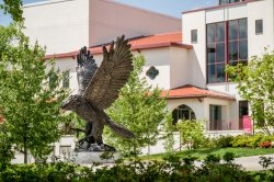 Hawk statue in the summertime surrounded by greenery on campus