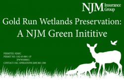 Gold Run Wetlands reservation: A NJM Green Initiative