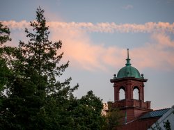 College Hall bell tower with a evergreen tree to the left and a slightly pinkish evening sky with clouds