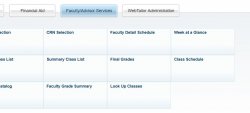 Screenshot of the Faculty/Advisors Services menu in Self-Service Banner.