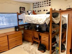 Another side of the room in a Triple in Blanton Hall with a bunk bed and a desk underneath.