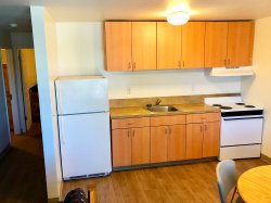 The kitchen in an apartment in Hawk Crossings with a fridge, sink and stove.