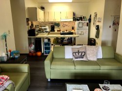 The living room and kitchen in a Single Apartment in the Village Apartments.