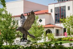 Photo of the Red Hawk statue.