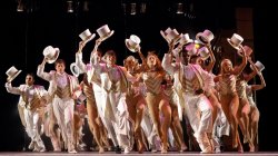 A group of actors and dancers in a chorus line