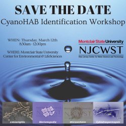 CyanoHAB ID Workshop, March 12