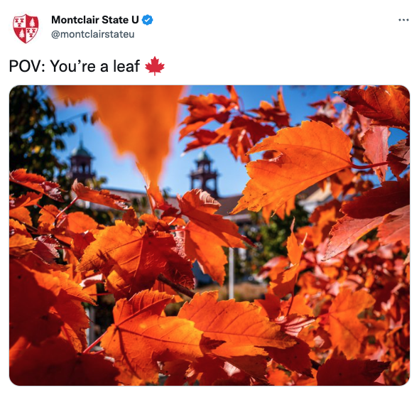 @montclairstateu: POV: You’re a leaf.