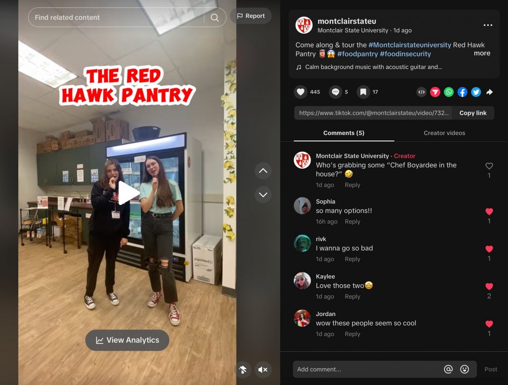 Screenshot of Tiktok post - video tour of the red hawk pantry