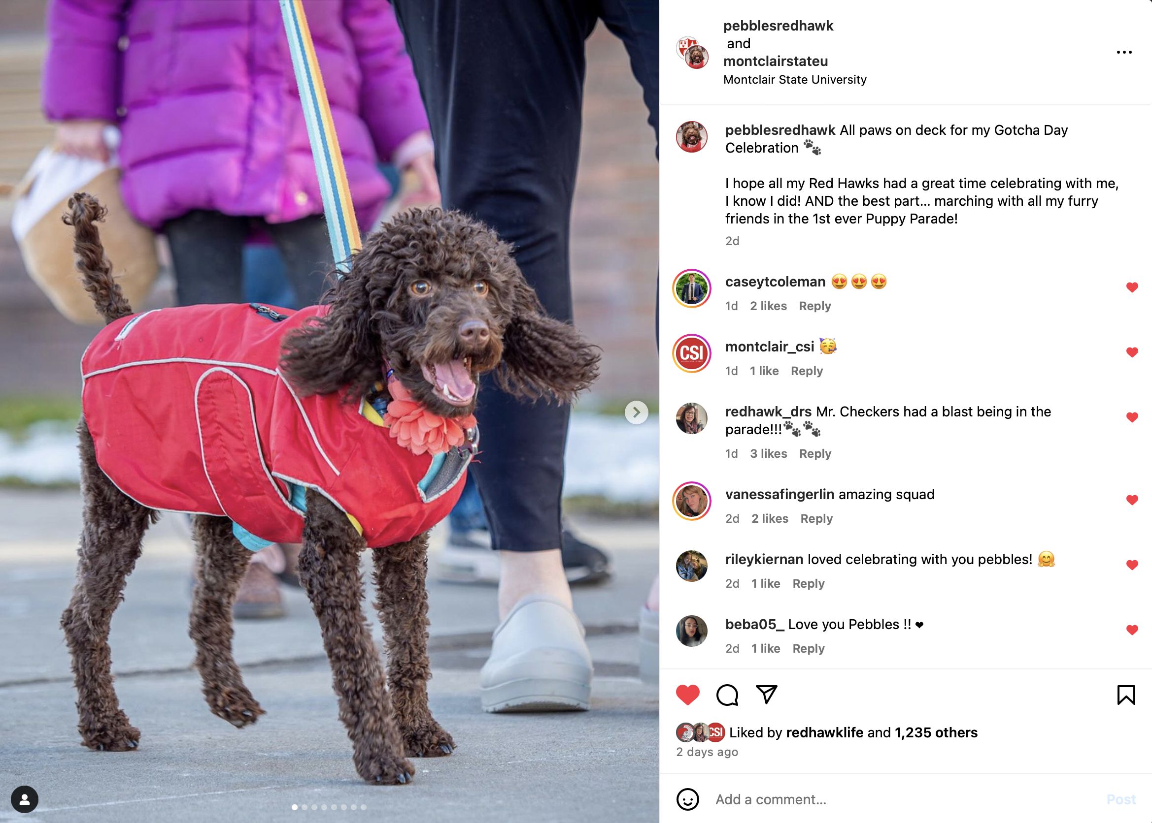 Screenshot of instagram post with Pebbles