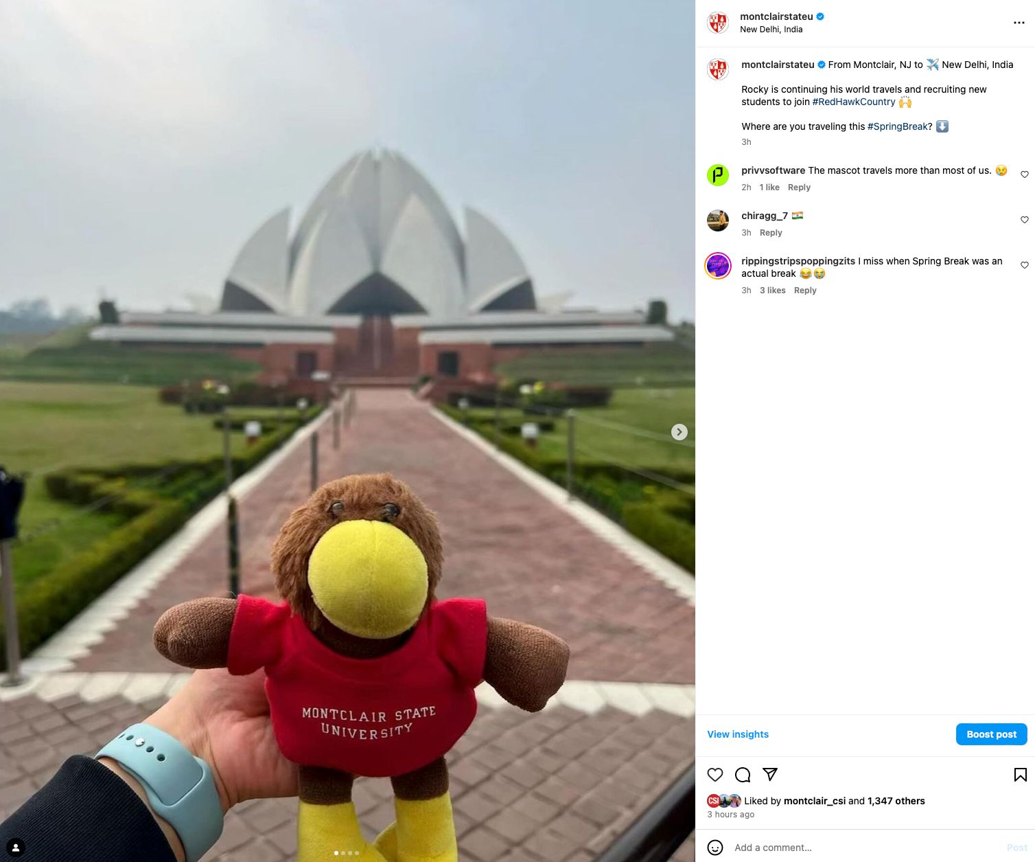 Screenshot of instagram post showing rocky doll in Delhi, India