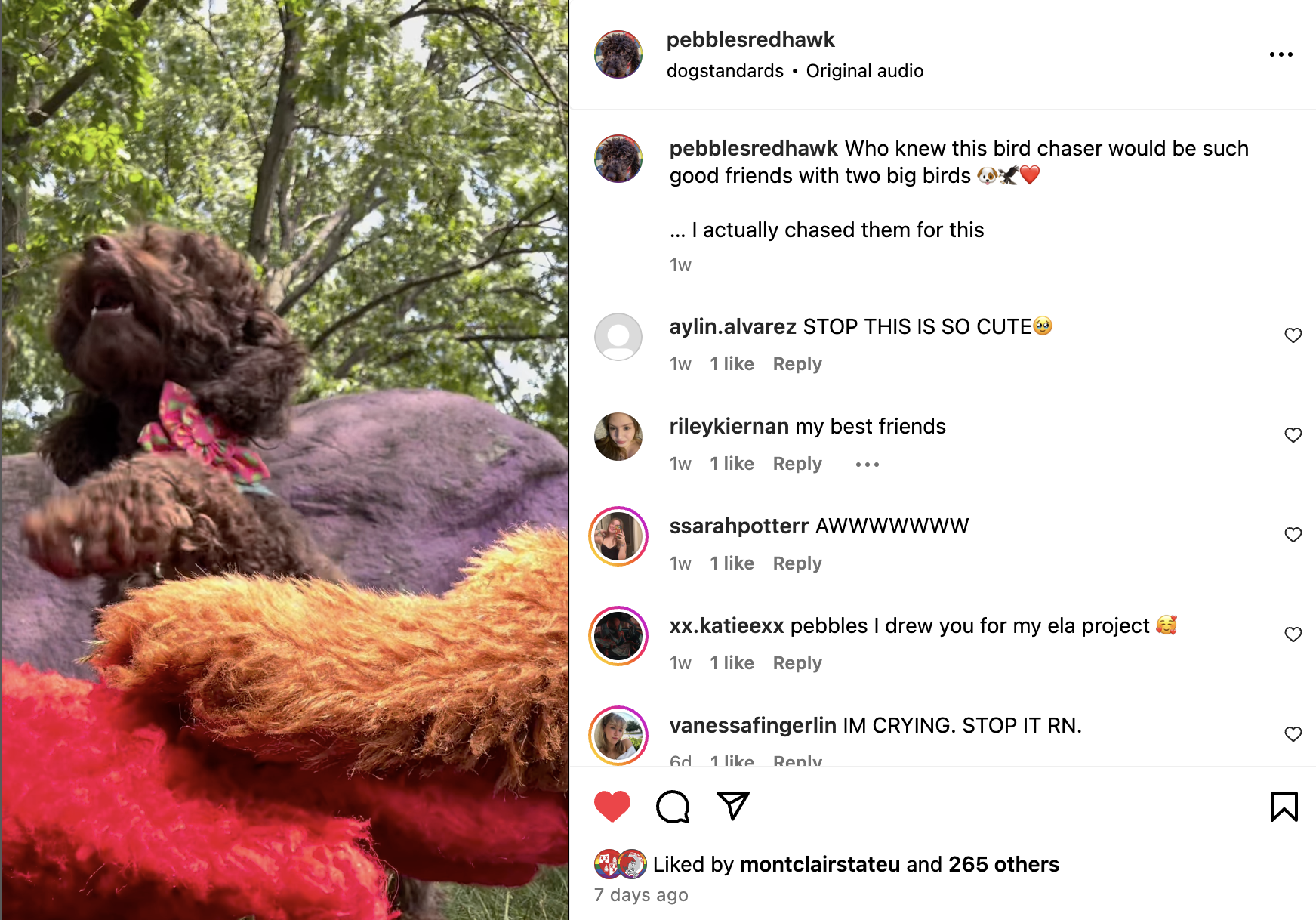 Screenshot of Pebbles from Instagram.