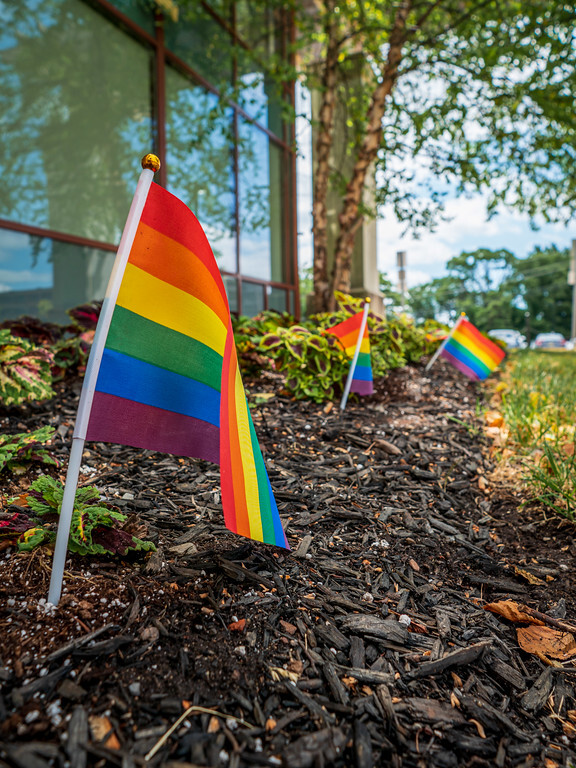 Pride flags in a garden.