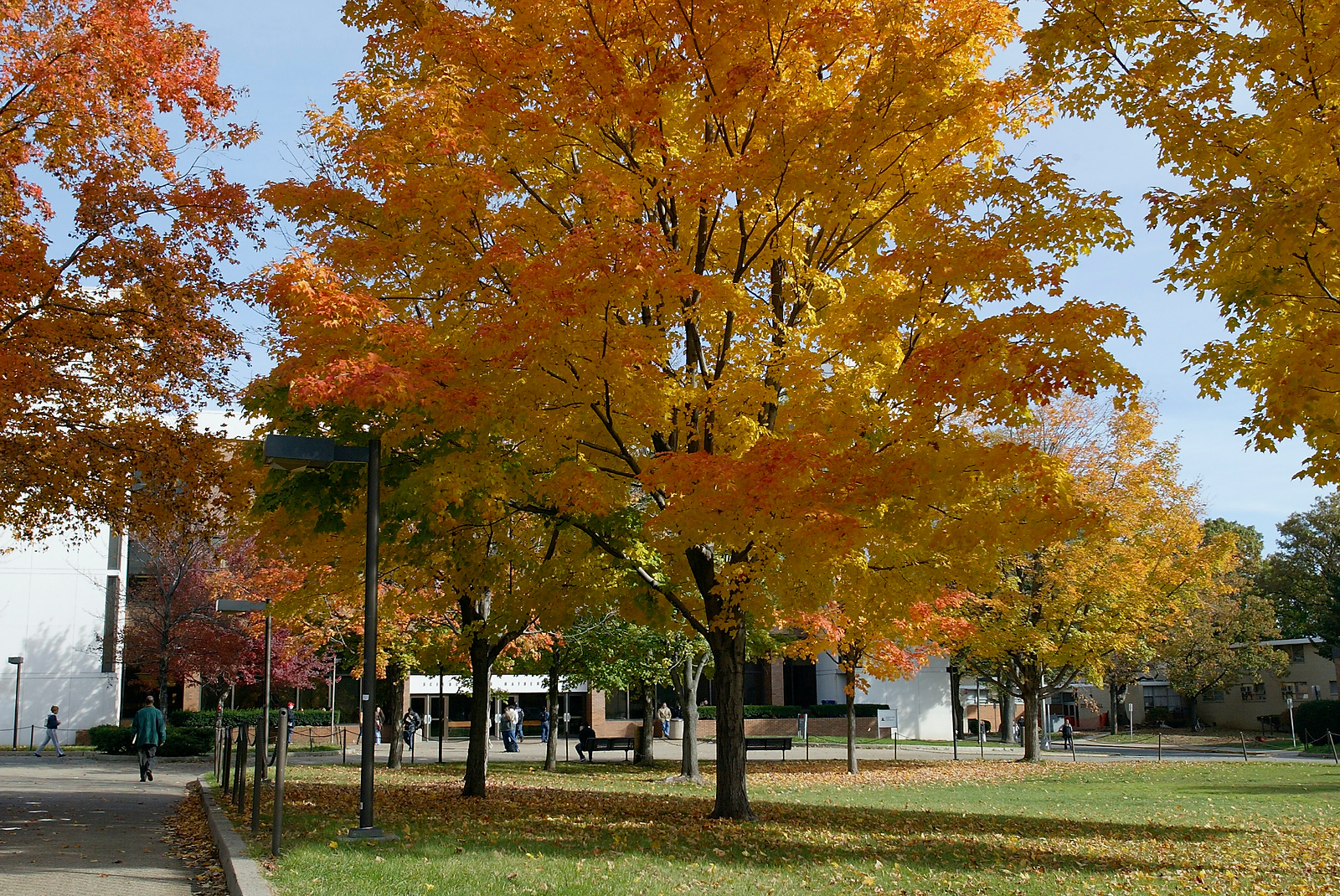 Photo of Richardson hall in 2002