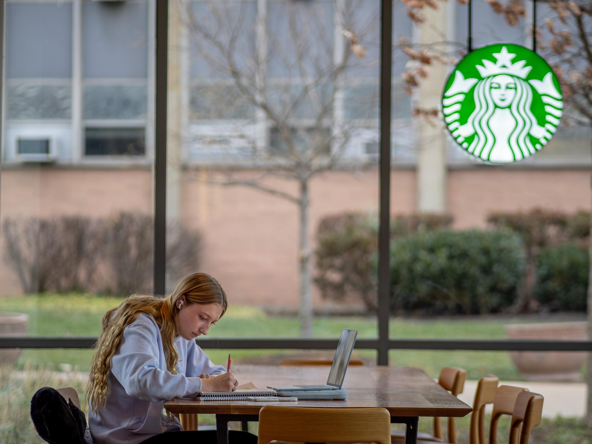 Student studying in a cafe.