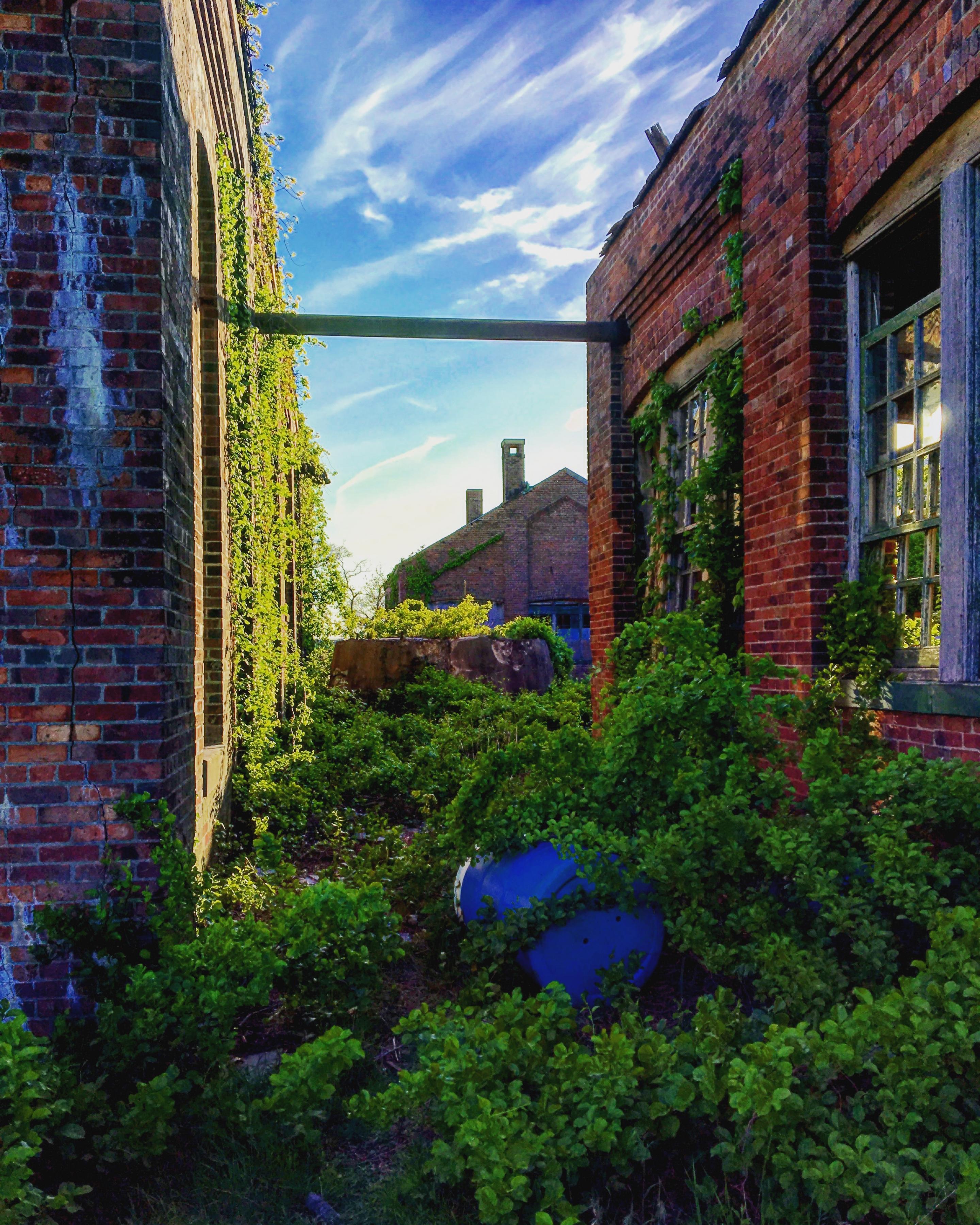 buildings overgrown with plants